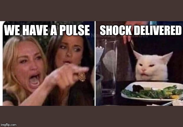 Cat at table | SHOCK DELIVERED; WE HAVE A PULSE | image tagged in cat at table | made w/ Imgflip meme maker
