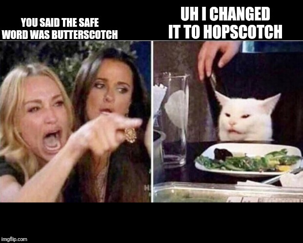 Crying girls and Cat | UH I CHANGED IT TO HOPSCOTCH; YOU SAID THE SAFE WORD WAS BUTTERSCOTCH | image tagged in crying girls and cat | made w/ Imgflip meme maker
