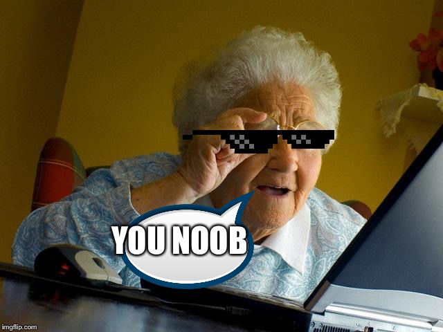 Grandma Finds The Internet Meme | YOU NOOB | image tagged in memes,grandma finds the internet | made w/ Imgflip meme maker