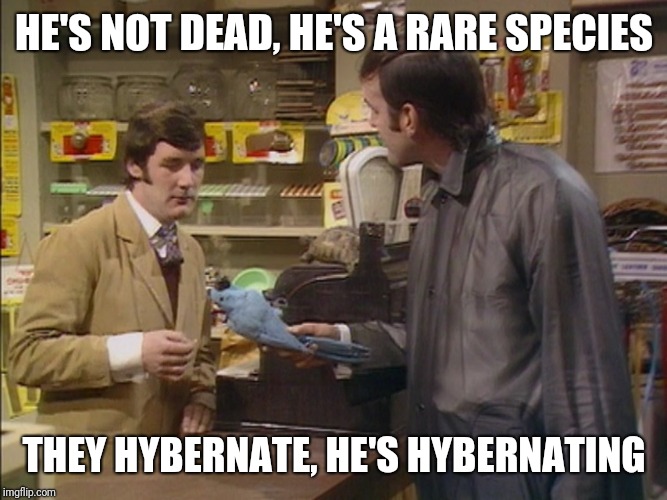 HE'S NOT DEAD, HE'S A RARE SPECIES THEY HYBERNATE, HE'S HYBERNATING | made w/ Imgflip meme maker