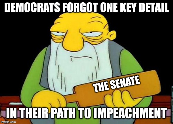 That's a paddlin' | DEMOCRATS FORGOT ONE KEY DETAIL; THE SENATE; IN THEIR PATH TO IMPEACHMENT | image tagged in memes,that's a paddlin' | made w/ Imgflip meme maker