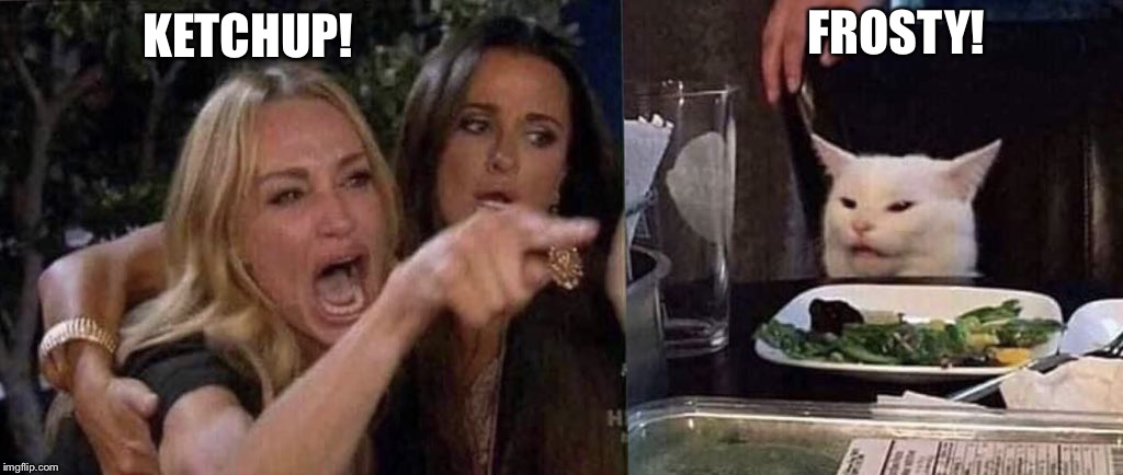 woman yelling at cat | FROSTY! KETCHUP! | image tagged in woman yelling at cat | made w/ Imgflip meme maker