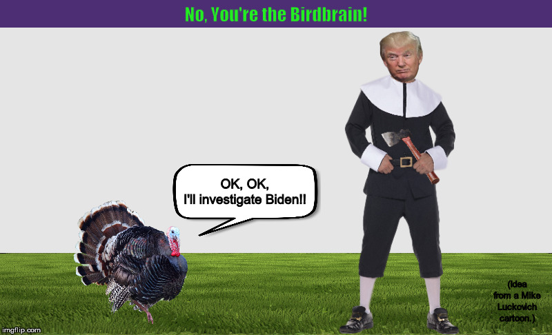 No, You're the Birdbrain! | image tagged in donald trump,trump,quid pro quo,ukraine,biden,memes | made w/ Imgflip meme maker