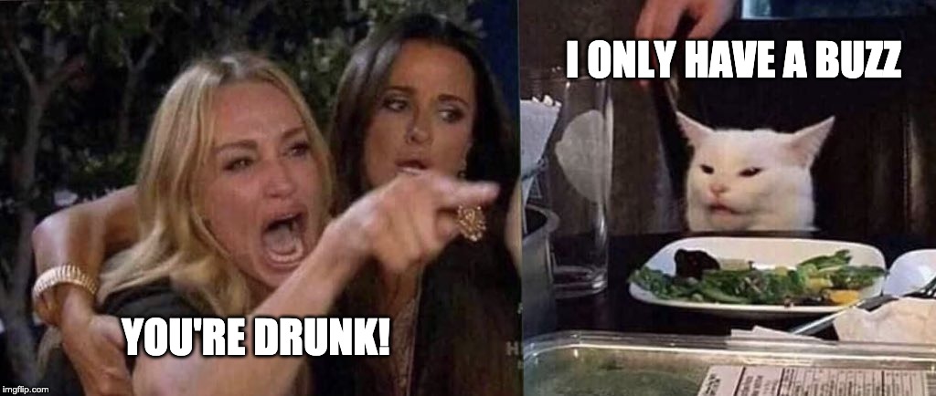 woman yelling at cat | I ONLY HAVE A BUZZ; YOU'RE DRUNK! | image tagged in woman yelling at cat | made w/ Imgflip meme maker