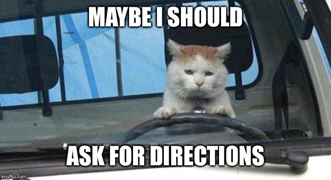 Cat Driving | MAYBE I SHOULD ASK FOR DIRECTIONS | image tagged in cat driving | made w/ Imgflip meme maker