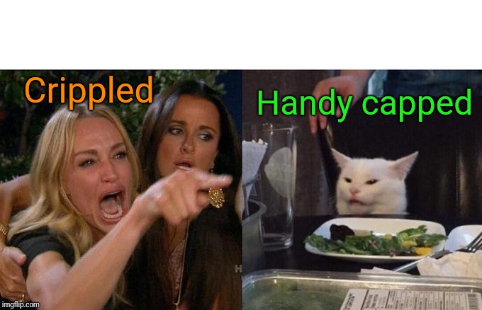 Woman Yelling At Cat Meme | Crippled Handy capped | image tagged in memes,woman yelling at cat | made w/ Imgflip meme maker