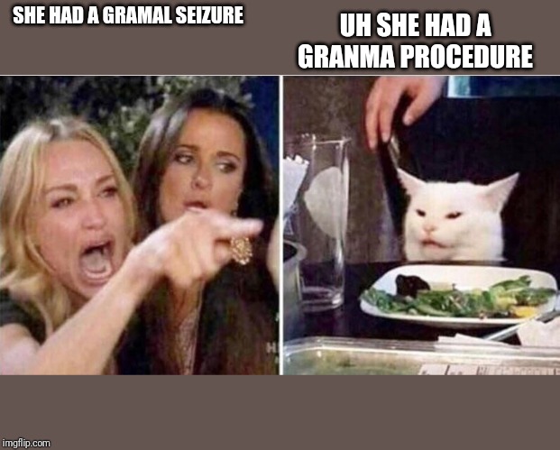 Crying girls and Cat | SHE HAD A GRAMAL SEIZURE; UH SHE HAD A GRANMA PROCEDURE | image tagged in crying girls and cat | made w/ Imgflip meme maker