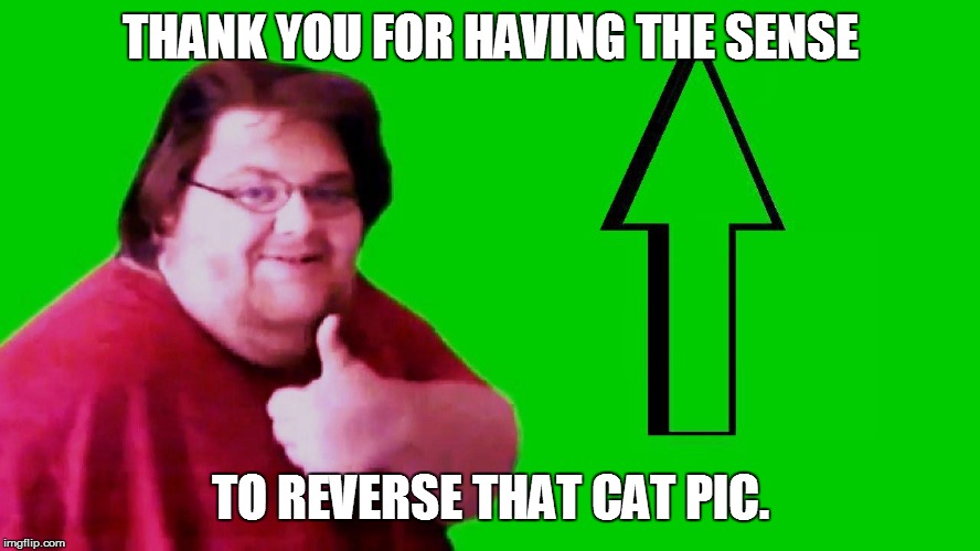 THANK YOU FOR HAVING THE SENSE TO REVERSE THAT CAT PIC. | made w/ Imgflip meme maker