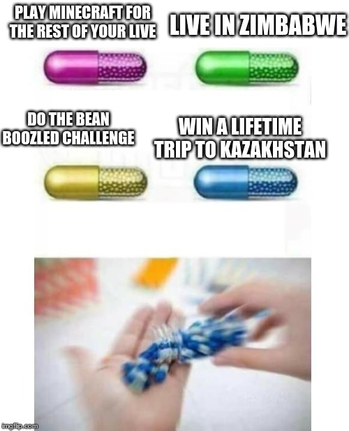 blank pills meme | PLAY MINECRAFT FOR THE REST OF YOUR LIVE WIN A LIFETIME TRIP TO KAZAKHSTAN LIVE IN ZIMBABWE DO THE BEAN BOOZLED CHALLENGE | image tagged in blank pills meme | made w/ Imgflip meme maker
