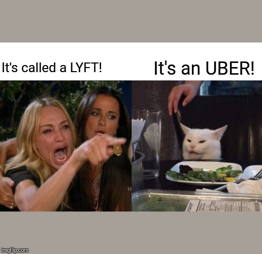 Woman Yelling At Cat | It's called a LYFT! It's an UBER! | image tagged in memes,woman yelling at cat | made w/ Imgflip meme maker