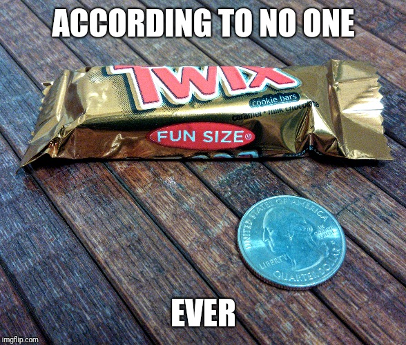 FUN SIZE! According to no one ever. | ACCORDING TO NO ONE; EVER | image tagged in fun size,candybar | made w/ Imgflip meme maker