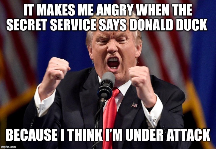 Angry Donald Trump  | IT MAKES ME ANGRY WHEN THE SECRET SERVICE SAYS DONALD DUCK; BECAUSE I THINK I’M UNDER ATTACK | image tagged in angry donald trump | made w/ Imgflip meme maker