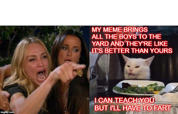 Woman Yelling At Cat | MY MEME BRINGS ALL THE BOYS TO THE YARD AND THEY'RE LIKE IT'S BETTER THAN YOURS; I CAN TEACH YOU BUT I'LL HAVE TO FART | image tagged in memes,woman yelling at cat | made w/ Imgflip meme maker