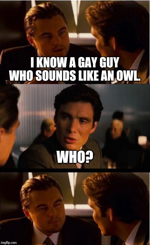 Inception Meme | I KNOW A GAY GUY WHO SOUNDS LIKE AN OWL. WHO? | image tagged in memes,inception | made w/ Imgflip meme maker