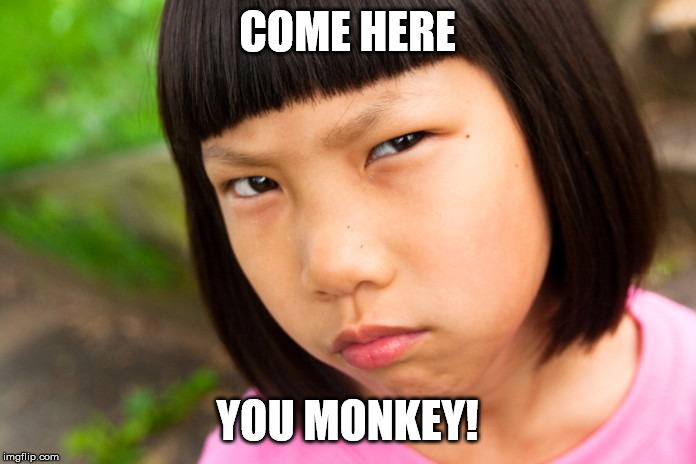 Angry Chinese Girl | COME HERE YOU MONKEY! | image tagged in angry chinese girl | made w/ Imgflip meme maker