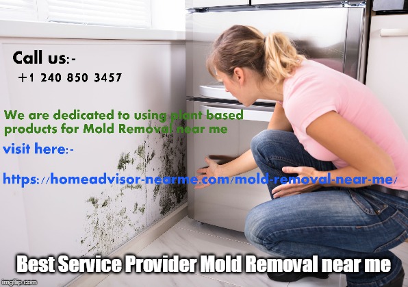 Best Service Provider Mold Removal near me | made w/ Imgflip meme maker