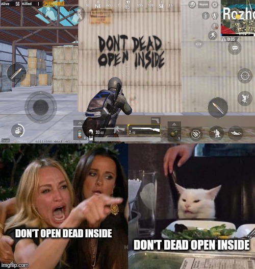 DON'T DEAD OPEN INSIDE; DON'T OPEN DEAD INSIDE | image tagged in crying lady and cat | made w/ Imgflip meme maker