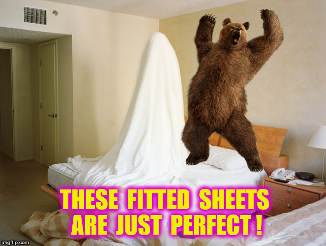 THESE  FITTED  SHEETS  ARE  JUST  PERFECT ! | made w/ Imgflip meme maker
