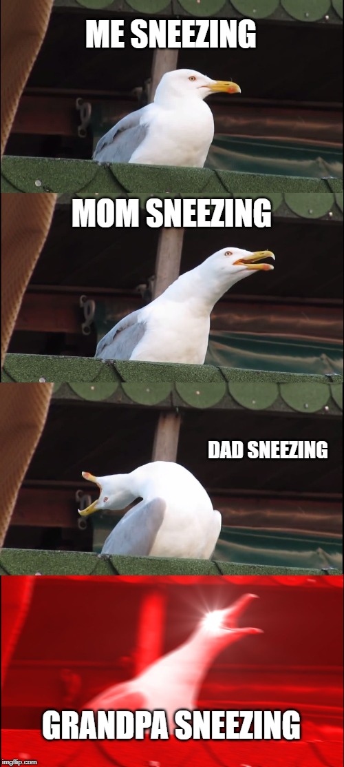 Inhaling Seagull | ME SNEEZING; MOM SNEEZING; DAD SNEEZING; GRANDPA SNEEZING | image tagged in memes,inhaling seagull | made w/ Imgflip meme maker