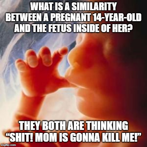 Choose Life | WHAT IS A SIMILARITY BETWEEN A PREGNANT 14-YEAR-OLD AND THE FETUS INSIDE OF HER? THEY BOTH ARE THINKING “SHIT! MOM IS GONNA KILL ME!” | image tagged in fetus | made w/ Imgflip meme maker