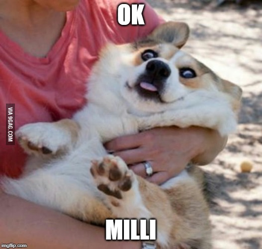 Derp Dog | OK; MILLI | image tagged in derp dog | made w/ Imgflip meme maker