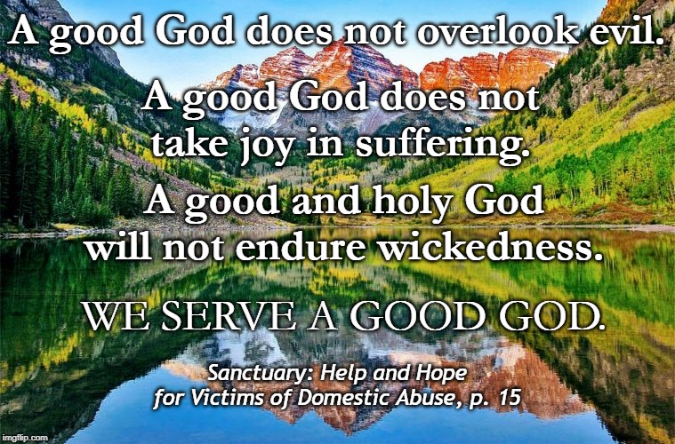A good God does not overlook evil. A good God does not take joy in suffering. A good and holy God will not endure wickedness. WE SERVE A GOOD GOD. Sanctuary: Help and Hope for Victims of Domestic Abuse, p. 15 | image tagged in domestic abuse,domestic violence,scripture | made w/ Imgflip meme maker