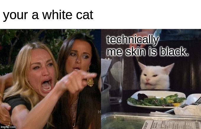 Woman Yelling At Cat | your a white cat; technically me skin is black. | image tagged in memes,woman yelling at cat | made w/ Imgflip meme maker