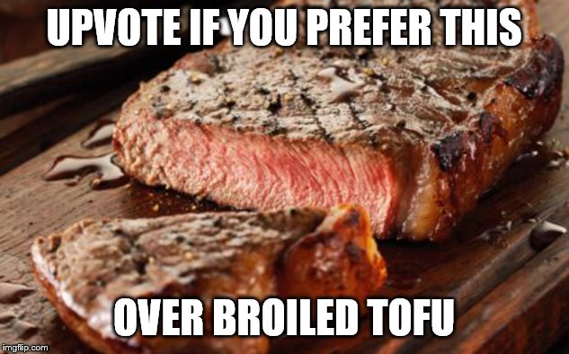 Steak | UPVOTE IF YOU PREFER THIS; OVER BROILED TOFU | image tagged in steak,memes,funny | made w/ Imgflip meme maker