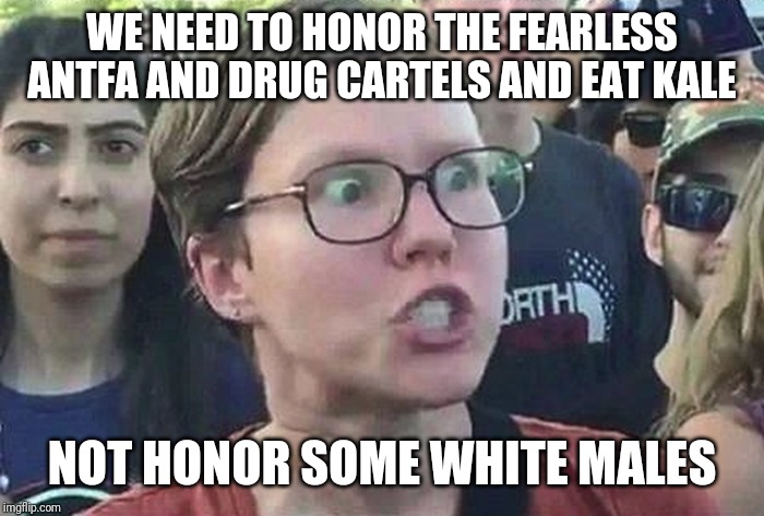 Triggered Liberal | WE NEED TO HONOR THE FEARLESS ANTFA AND DRUG CARTELS AND EAT KALE NOT HONOR SOME WHITE MALES | image tagged in triggered liberal | made w/ Imgflip meme maker