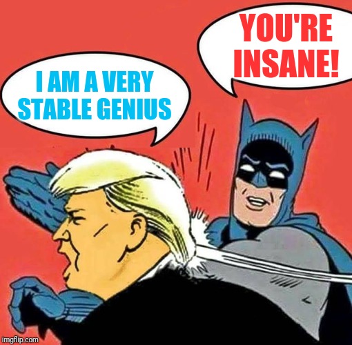 Batman Slapping Trump | YOU'RE INSANE! I AM A VERY STABLE GENIUS | image tagged in batman slapping trump | made w/ Imgflip meme maker