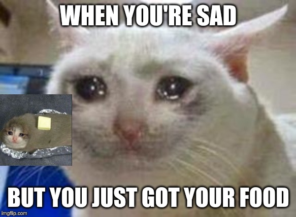 Sad cat | WHEN YOU'RE SAD; BUT YOU JUST GOT YOUR FOOD | image tagged in sad cat | made w/ Imgflip meme maker