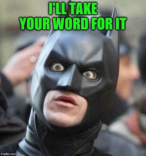 Shocked Batman | I'LL TAKE YOUR WORD FOR IT | image tagged in shocked batman | made w/ Imgflip meme maker