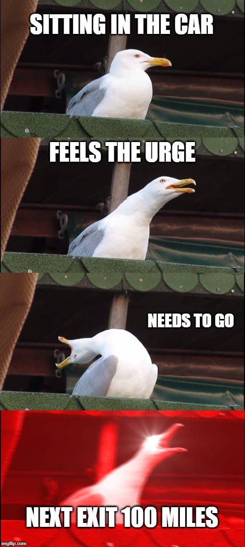 Inhaling Seagull Meme | SITTING IN THE CAR; FEELS THE URGE; NEEDS TO GO; NEXT EXIT 100 MILES | image tagged in memes,inhaling seagull | made w/ Imgflip meme maker