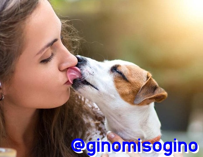 High Quality women and dogs Blank Meme Template