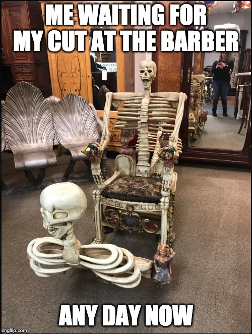 Skeleton Meme | ME WAITING FOR MY CUT AT THE BARBER; ANY DAY NOW | image tagged in skeleton meme | made w/ Imgflip meme maker