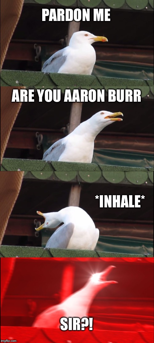 Inhaling Seagull Meme | PARDON ME; ARE YOU AARON BURR; *INHALE*; SIR?! | image tagged in memes,inhaling seagull | made w/ Imgflip meme maker