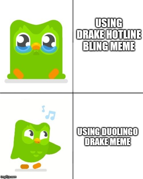 Duolingo Drake meme |  USING DRAKE HOTLINE BLING MEME; USING DUOLINGO DRAKE MEME | image tagged in duolingo drake meme | made w/ Imgflip meme maker
