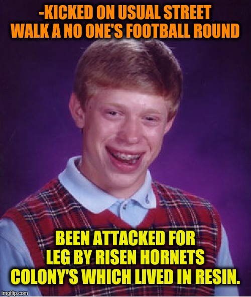 -Balls kicker with horny little friends. | -KICKED ON USUAL STREET WALK A NO ONE'S FOOTBALL ROUND; BEEN ATTACKED FOR LEG BY RISEN HORNETS COLONY'S WHICH LIVED IN RESIN. | image tagged in memes,bad luck brian,attack,legs,sting,man in pain | made w/ Imgflip meme maker