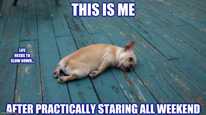 tired dog | THIS IS ME; LIFE NEEDS TO SLOW DOWN... AFTER PRACTICALLY STARING ALL WEEKEND | image tagged in tired dog | made w/ Imgflip meme maker
