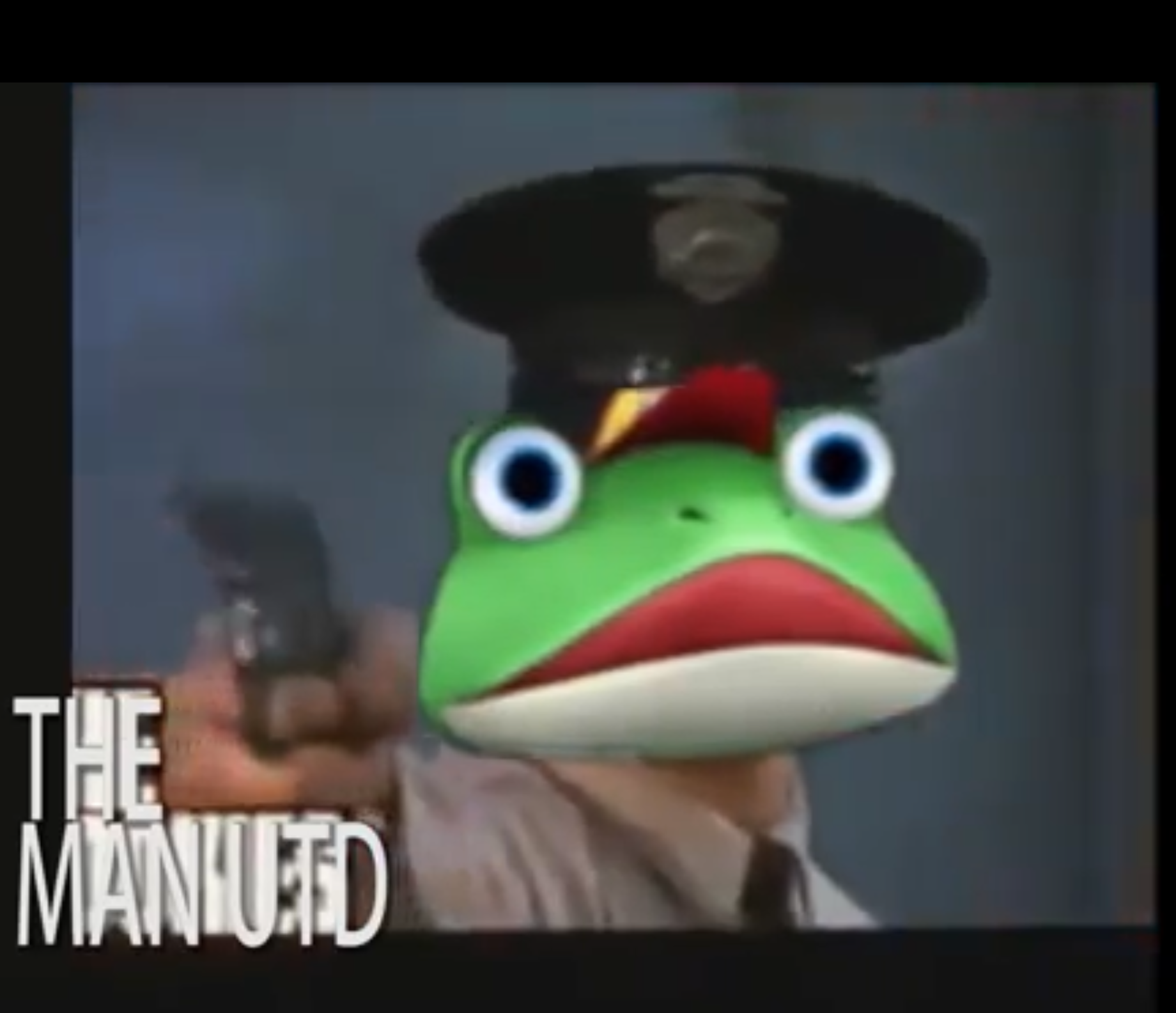 High Quality SLIPPY TOAD POLICE OFFICER!!! Blank Meme Template