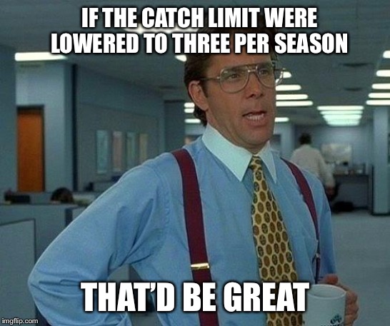 That Would Be Great Meme | IF THE CATCH LIMIT WERE LOWERED TO THREE PER SEASON THAT’D BE GREAT | image tagged in memes,that would be great | made w/ Imgflip meme maker
