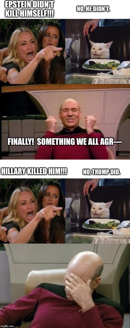 Who says the two sides can’t agree? | EPSTEIN DIDN’T KILL HIMSELF!!! NO, HE DIDN’T. FINALLY!  SOMETHING WE ALL AGR—; HILLARY KILLED HIM!!! NO, TRUMP DID. | image tagged in memes,captain picard facepalm,happy picard,woman yelling at cat,jeffrey epstein,suicide | made w/ Imgflip meme maker