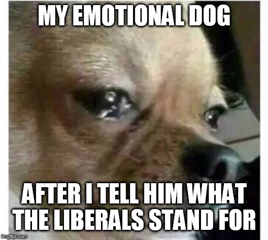 crying dog | MY EMOTIONAL DOG AFTER I TELL HIM WHAT THE LIBERALS STAND FOR | image tagged in crying dog | made w/ Imgflip meme maker
