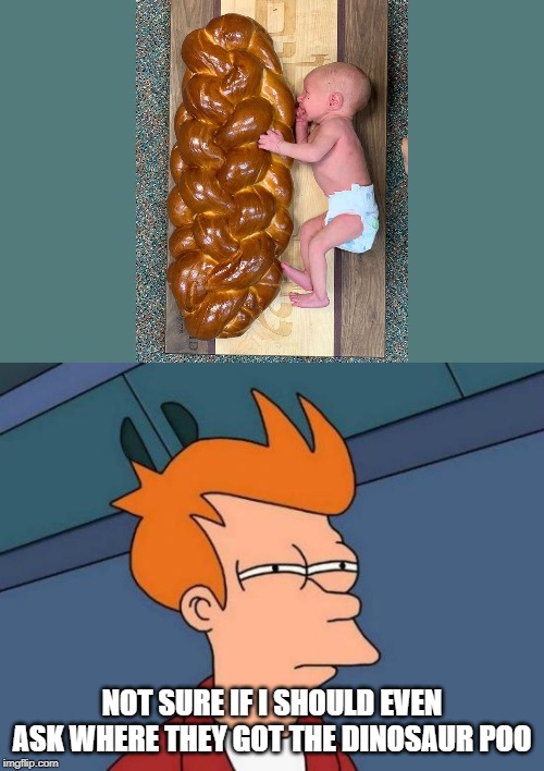 People pose their kids with the weirdest things | NOT SURE IF I SHOULD EVEN ASK WHERE THEY GOT THE DINOSAUR POO | image tagged in memes,futurama fry,funny,funny memes | made w/ Imgflip meme maker