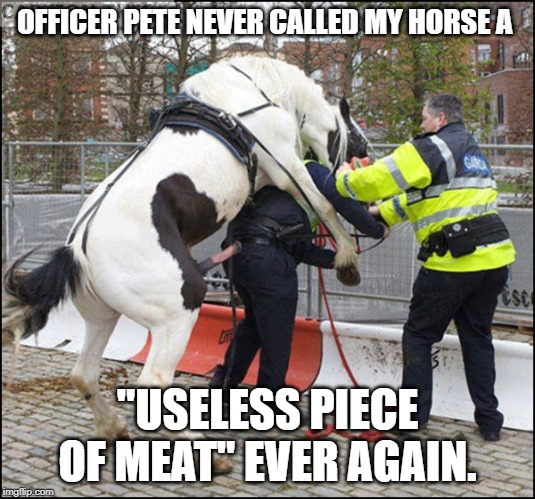caption contest | OFFICER PETE NEVER CALLED MY HORSE A; "USELESS PIECE OF MEAT" EVER AGAIN. | image tagged in funny,police brutality,funny memes | made w/ Imgflip meme maker