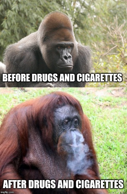  BEFORE DRUGS AND CIGARETTES; AFTER DRUGS AND CIGARETTES | made w/ Imgflip meme maker