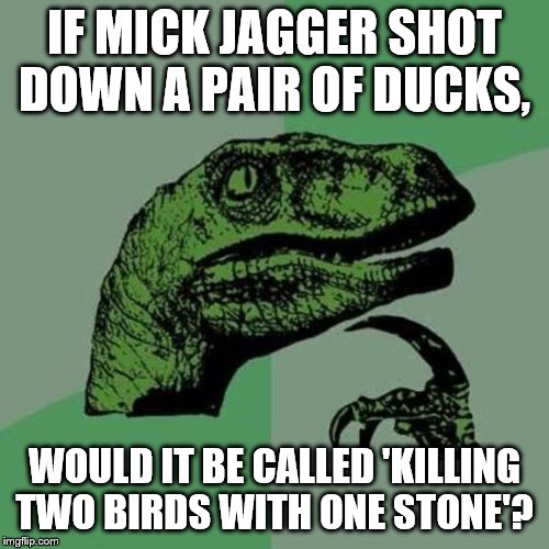 raptor | IF MICK JAGGER SHOT DOWN A PAIR OF DUCKS, WOULD IT BE CALLED 'KILLING TWO BIRDS WITH ONE STONE'? | image tagged in raptor,mick jagger,killing,two birds,one stone | made w/ Imgflip meme maker