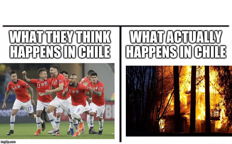 Who Would Win? Meme | WHAT THEY THINK HAPPENS IN CHILE; WHAT ACTUALLY HAPPENS IN CHILE | image tagged in memes,chile,hmmm,e,funny memes | made w/ Imgflip meme maker