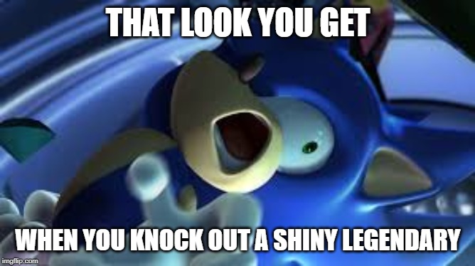 Sonic is TRIGERRED | THAT LOOK YOU GET; WHEN YOU KNOCK OUT A SHINY LEGENDARY | image tagged in sonic is trigerred | made w/ Imgflip meme maker