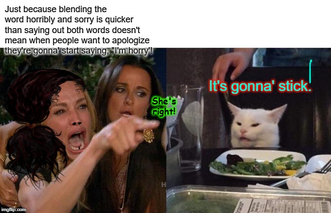 Woman Yelling At Cat | Just because blending the word horribly and sorry is quicker than saying out both words doesn't mean when people want to apologize they're gonna' start saying, "I'm horry'! It's gonna' stick. She's right! | image tagged in memes,woman yelling at cat | made w/ Imgflip meme maker